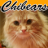 Chibears85